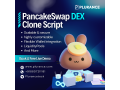 start-building-defi-platform-today-with-pancakeswap-clone-script-small-0